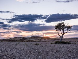 Monegros Western